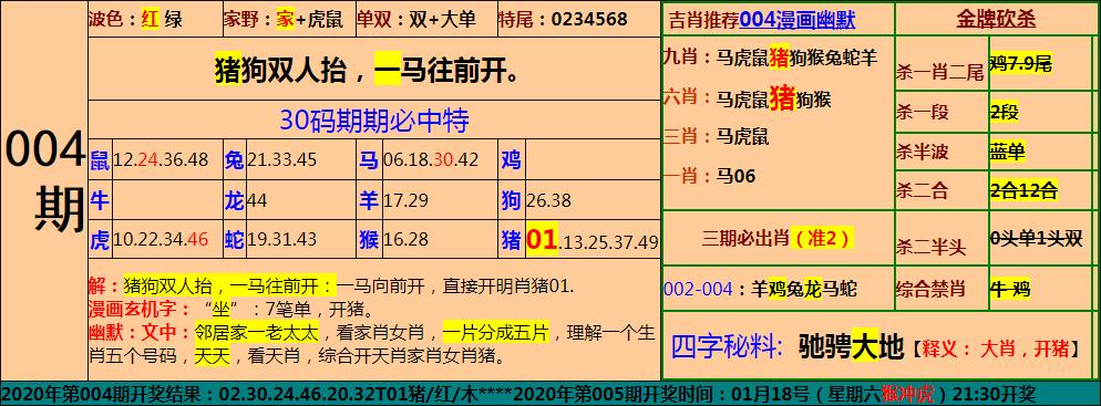 30码004期.jpg